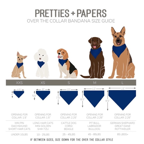 Starry Night Red White and Blue 🇺🇸 over the collar Dog Bandana - Picture 3 of 3